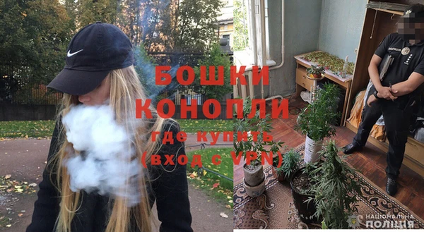 mdpv Новодвинск