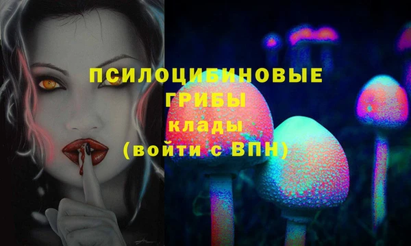 mdpv Новодвинск