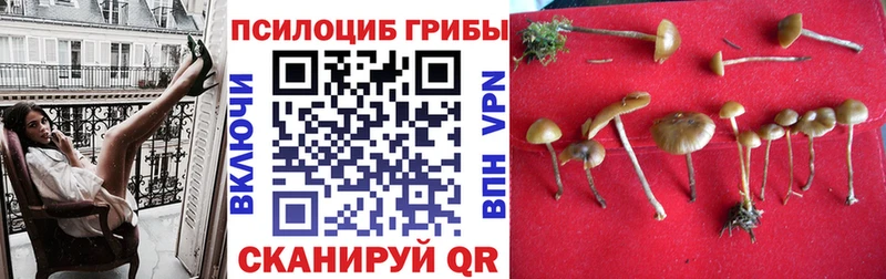 Псилоцибиновые грибы ЛСД  дарнет шоп  блэк спрут как зайти  Навашино 