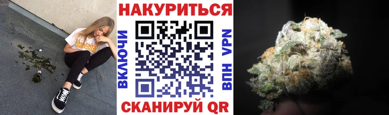 Конопля гибрид  Навашино 